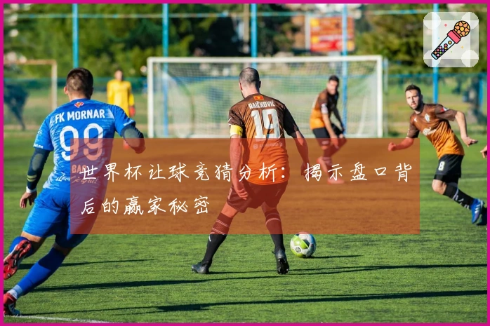 世界杯让球竞猜分析：揭示盘口背后的赢家秘密